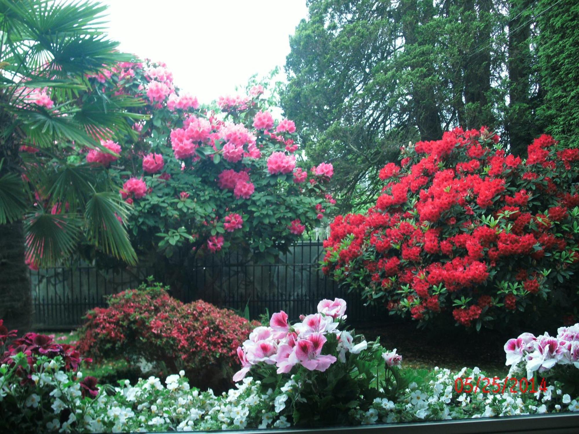 The Stone Hedge Bed And Breakfast Richmond Luaran gambar